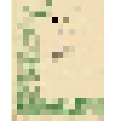 Нотное издание: "Романсы К. Верховского"