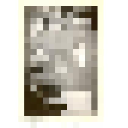 Фотография: экспозиция Каменского краеведческого музея