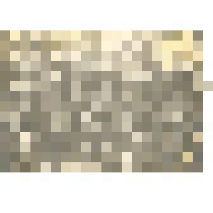 Фотография: манифестация работников просвещения в день 5-летия Союза работников просвещения в каменском городском саду