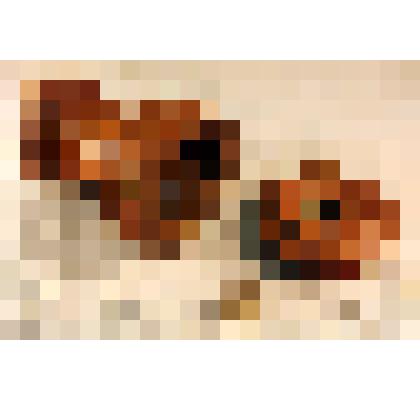 Мельница ручная для пряностей, из коллекции документальных, фотографических и вещевых материалов о Миловидовой Инне Борисовне (1929-2009), кандидате биологических наук, преподавателе биофака Саратовского государственного университета