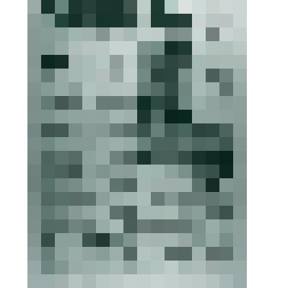 Негатив ч/б "Газета "Усинская Новь" №84 (286)"