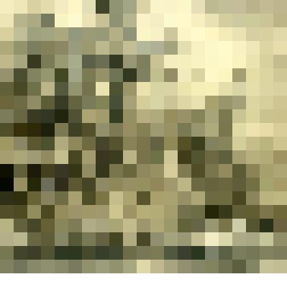 Картина. Полдень