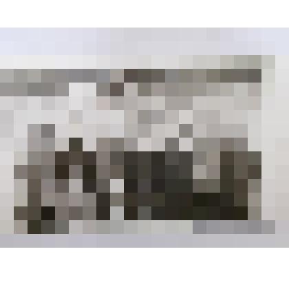 фотография ч/б групповая