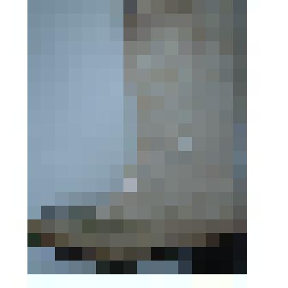 Сапог женский лакированный (левый)