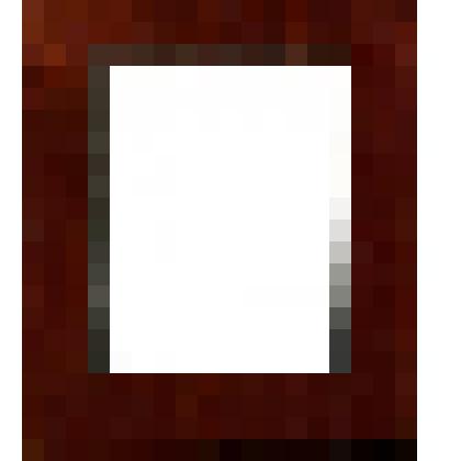 Рама красного дерева с широким бортом; по наружному краю- черный кант, по внутреннему -орнамент