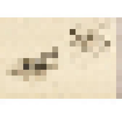 Избушка и сосны. Дорожка среди камней, из альбома  «190 пейзажей; зарисовки, иллюстрации, карикатуры»