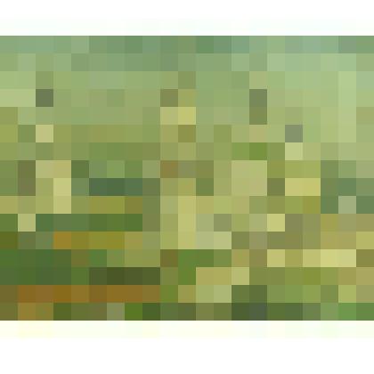 Картина. Старая Кинешма