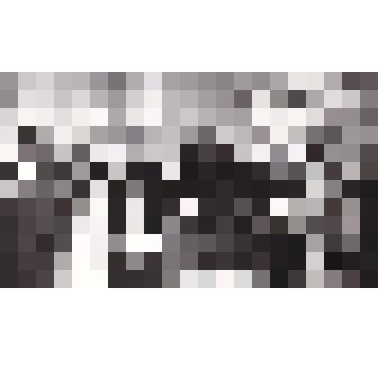 Фото групповое