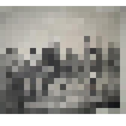 Лейб - Атаманский Его Императорского Высочества Наследника Цесаревича полк, 1857 год