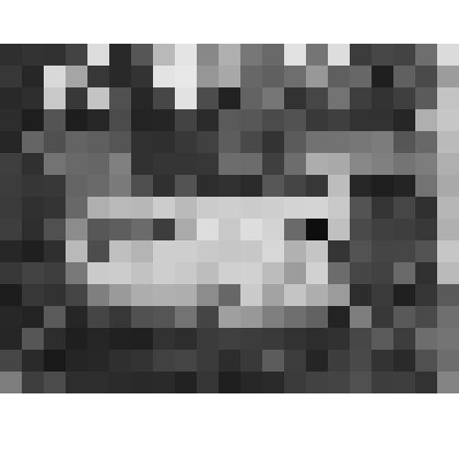 Фермерский дворец. Собственный садик. Мраморная ванна