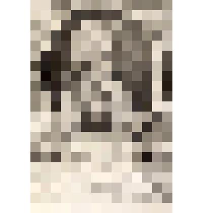 Antiochus prince Cantemir. (Антиох князь Кантемир.) - гравюра из книги: Recueil des portraits des hommes illustres. T. VIII. (Сборник портретов знаменитых людей. T. VIII.) - на франц. яз