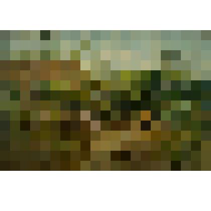 Жаркий день