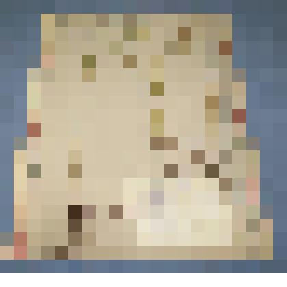 Ботаническая коллекция. Клевер пятилистный,семейство мотыльковые,  на гербарном листе, село Ермаковское , в лесу. Сем. Papilionaceae  Род. Frifolium  Вид. Lupinaster