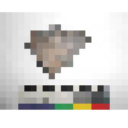 Археология. Фрагмент стенки сосуда, светло-серого цвета, без орнамента