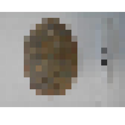 Смертельный медальон немецкого солдата