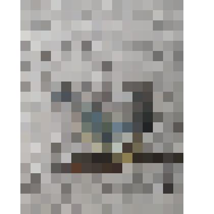 Чучело птицы "Лазаревка"