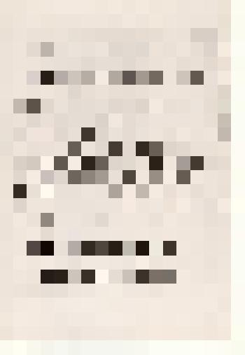 Фотография: копия квитанции №1 от 2 января 1920 г. Усть-... сельским революционным комитетом от Ляпустина А.И. принято пожертвование для семей, пострадавших от правительства Колчака, один овин пшеницы, один овин овса и 2 пуда муки