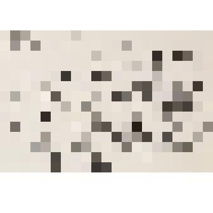 Набросок «Ферапонтово»