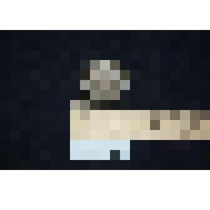 Раковина  двустворчатого моллюска