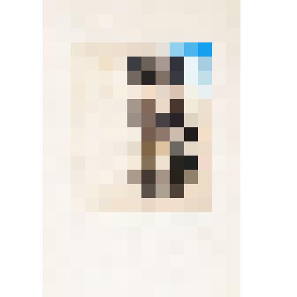 Фронтиспис. Из серии иллюстраций к «Римским элегиям». И.В.Гете».1933