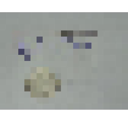 20 копеек 1906 г