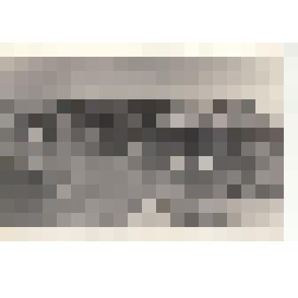 Фото/чб. Энгельсская опытно-мелиоративная станция ВНИИГИМ. Строительство водоканала. Энгельс. 1960-е