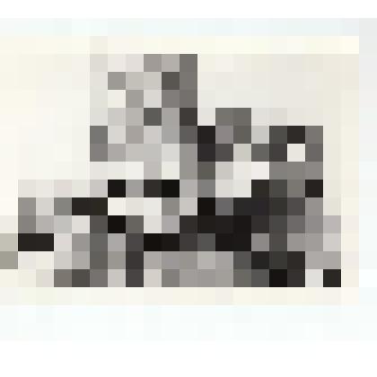 Ф/чб. Коллектив Мостоотряда на ремонте ж/д моста Энгельс-Саратов через р. Волга. 1965