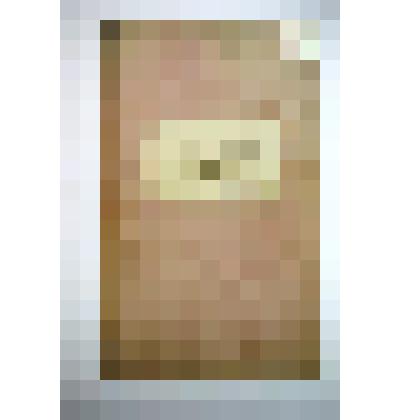 Обысковая книга Яренской Градской Покровской церкви за 1846-1852 годы