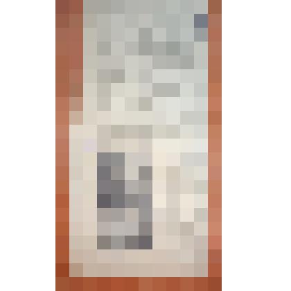 А. Яковлев "Голосуют новосёлы Комсомольского"