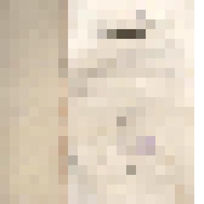 Журнал. Москвитянин: Журнал, издаваемый М. Погодиным