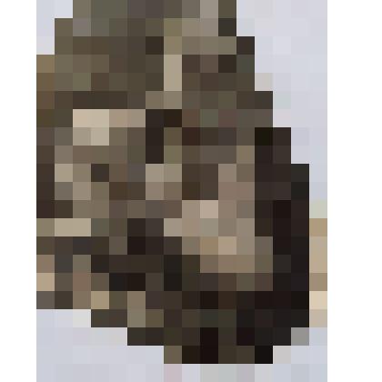 Фотография Мусукаева Шамса - председатель колхоза им. Мусукаева