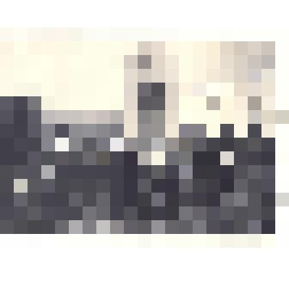 Фотография: традиционный сбор учителей-пенсионеров, ранее работавших в г.Камне-на-Оби и районах Каменского уезда, ныне проживающих в разных городах Советского Союза