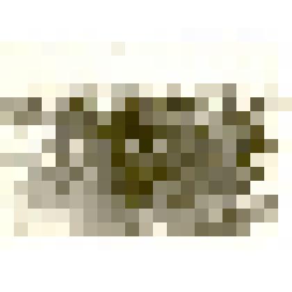 Фотография: панорама с.Камень Барнаульского уезда Томской губернии. Копия