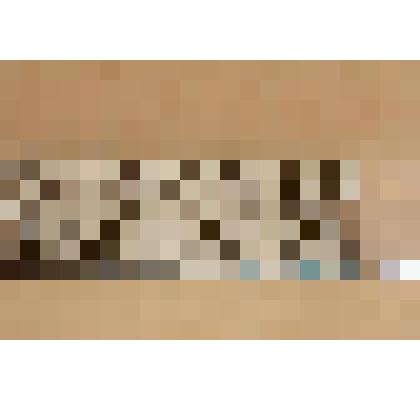 Подзор от крестьянского дома (фрагмент)