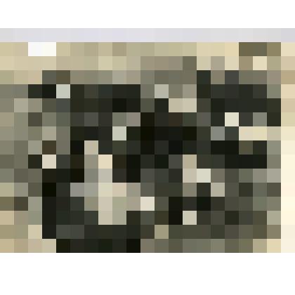 Фотография. Коллективный выезд на отдых