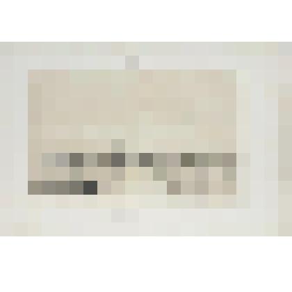 Литография. "Санкт-Петербург. Императорская академия изящных искусств. Вид со стороны дома Дурново на Английской набережной."