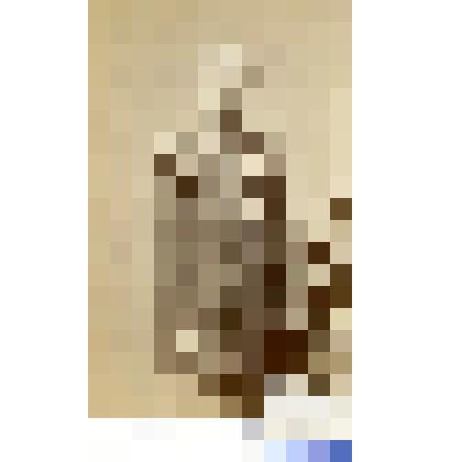 Фотография черно-белая. Нарбут Николай Александрович