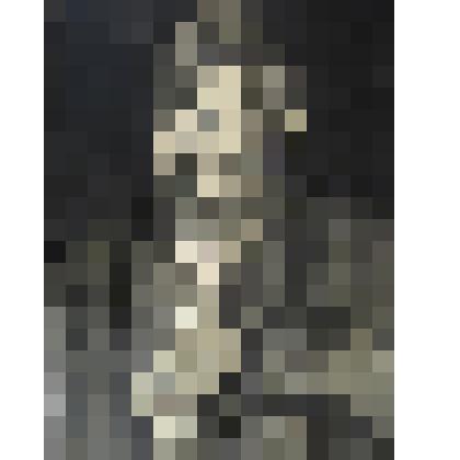 Портрет юноши