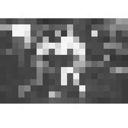 Фото участников соревнования по классической борьбе,1980г