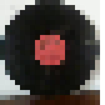 Пластинка "Идем дорогой Ленина"