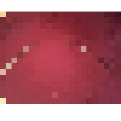 Лук для чистки шерсти