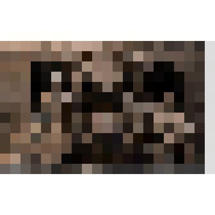 Черно-белая групповая фотография работниц Батищевской сельскохозяйственной опытной станции. 30-ые годы 20 века