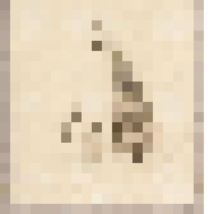 Карикатура, из альбома  «190 пейзажей; зарисовки, иллюстрации, карикатуры»