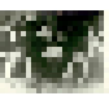 Фотоотпечаток. Ленинградский Дом Красной Армии.  Крестьянская пляска в исполнении ансамбля красноарм. песни и пляски