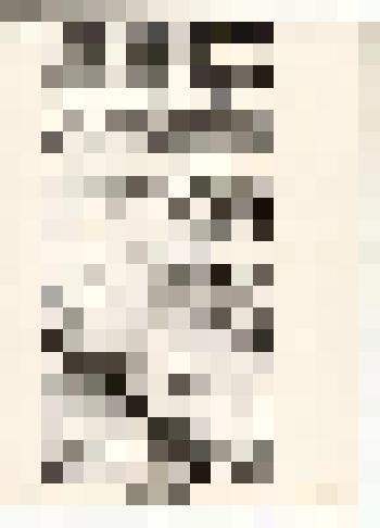 Документальный материал. Газета "Совет крестьянину" от 01.11.27г. "Рабочие и крестьяне в борьбе за Советы"