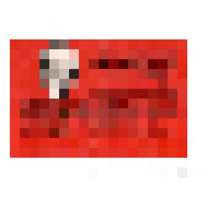 Мандат № 199 Ложкиной В. П., делегата ХIII конференции Удмуртской организации общества «Знание»