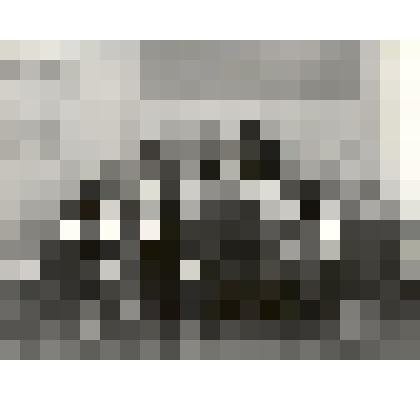 Фотография. «Делегация Олекминского района»