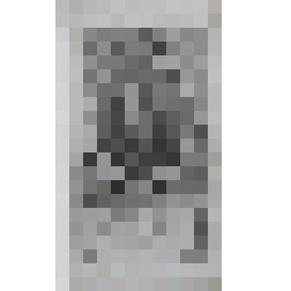 Портрет  Игнатия Франца