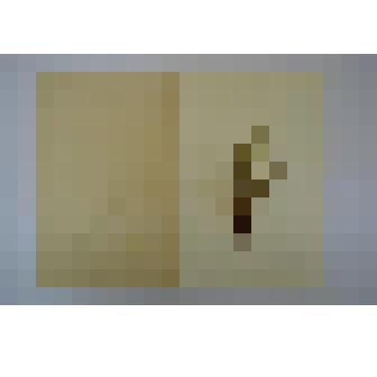 Гербарий. Овсяница желобчатая. Festuca sulcata