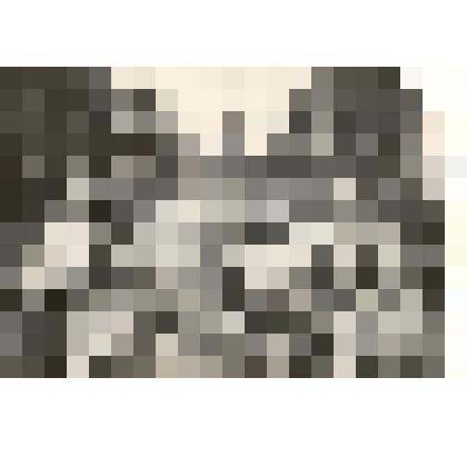 Фотография: коллектив бригады коммунистического труда совхоза "Путь Ильича" Каменского района Алтайского края